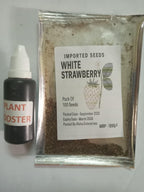 Rare Milk Strawberry Seeds – White Strawberry Variety (Pack of 20) + Free Plant Growth Serum