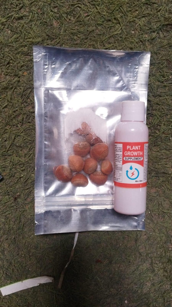 Banana Seeds for Home Gardening – Tropical Fruit Plant Seeds