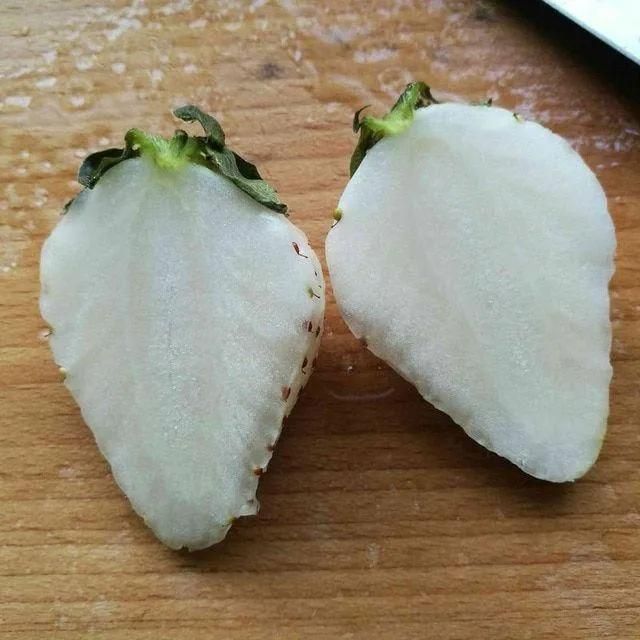 Rare Milk Strawberry Seeds – White Strawberry Variety (Pack of 20) + Free Plant Growth Serum