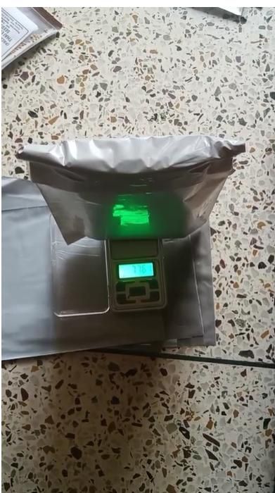 Rare Milk Strawberry Seeds – White Strawberry Variety (Pack of 20) + Free Plant Growth Serum