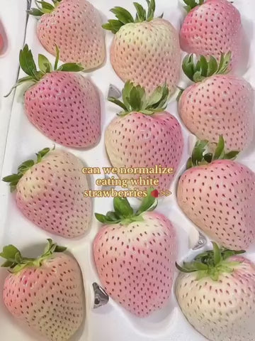 Rare Milk Strawberry Seeds – White Strawberry Variety (Pack of 20) + Free Plant Growth Serum