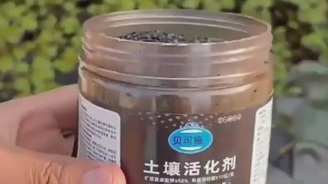 Soil Activated Treasure – Premium Organic Soil Activator (200g × 2 Pack)